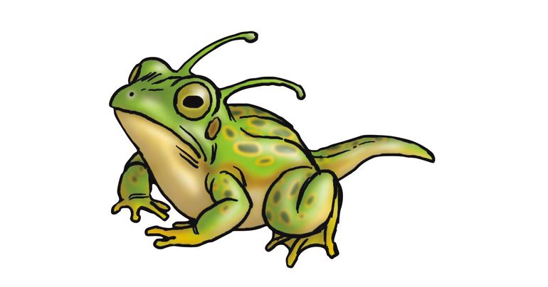 Wöchentliche ☆ Charaktervorstellung #264: Frosch!